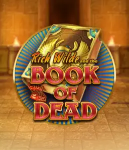 Dive into the thrilling world of Book of Dead Slot by Play'n GO, featuring vivid graphics of Rich Wilde's journey through ancient Egyptian tombs and artifacts. Find lost riches with exciting mechanics like free spins, expanding icons, and a gamble option. Ideal for adventure seekers with a desire for exciting finds.